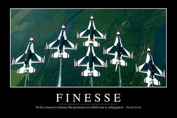 STK107107M-Finesse: Inspirational Quote and Motivational Poster by Stocktrek Images