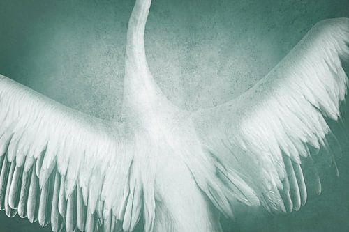 Dromerige Vlucht Vleugels in Zacht Turkoois