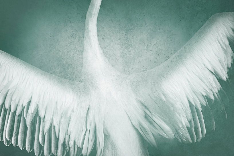 Dreamy Flight Wings in Soft Turquoise by Femke Ketelaar