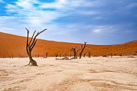 Deadvlei in the Namib Desert, Sossusvlei, Namibia by Patrick Groß thumbnail