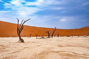 Deadvlei in de Namib-woestijn, Sossusvlei, Namibië van Patrick Groß