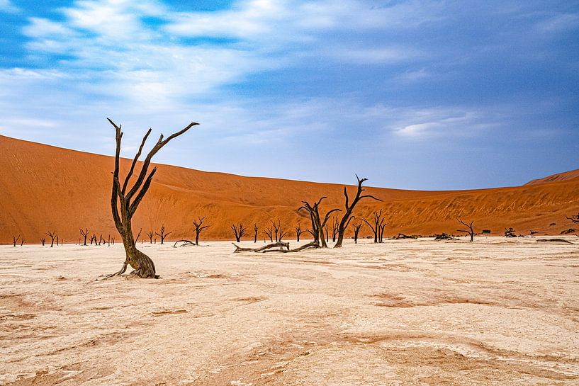 Deadvlei in the Namib Desert, Sossusvlei, Namibia by Patrick Groß