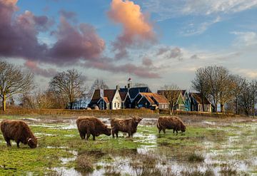 Schokland Eiland met Highlanders op de voorgrond. van Brian Morgan