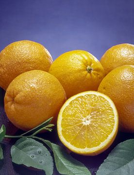Frische Orangen und aufgeschnitten als Studioaufnahme von Gerwin Schadl