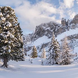 Passo Gardena III van Rainer Mirau