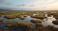 Uniqueness of marsh