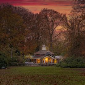 Teehaus im Wald... von EricsonVizcondePhotography