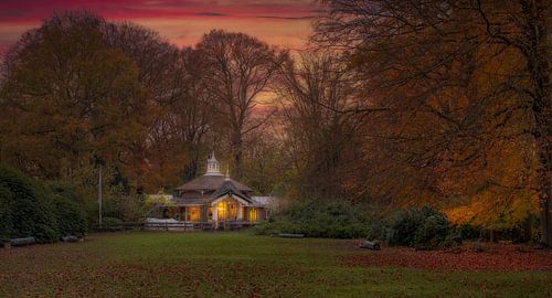 Theehuis in het bos...