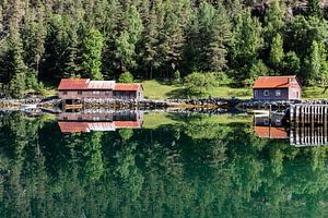Norvège Eidsfjorden