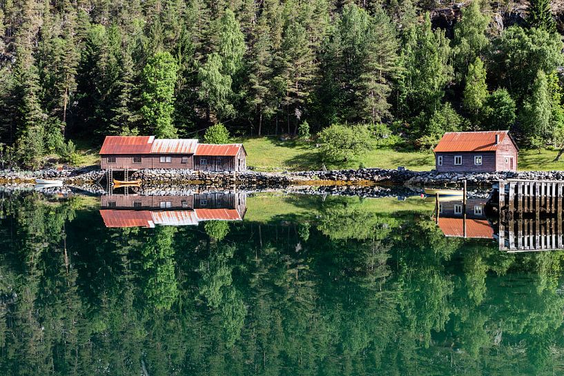 Norvège Eidsfjorden par Bart van Dinten