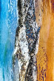 Abstract 43 sur Pieter van Roijen