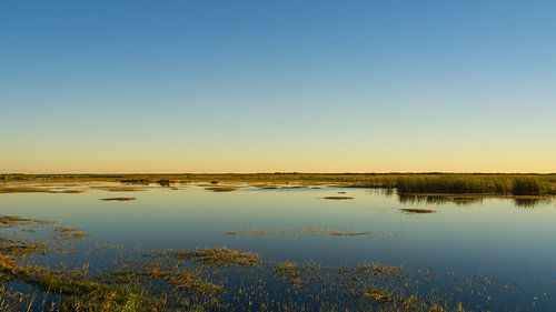 Verenigde Staten, Florida, Dageraad over everglades-landschap