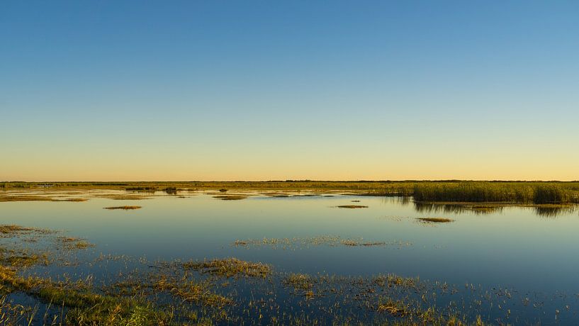 Verenigde Staten, Florida, Dageraad over everglades-landschap van adventure-photos