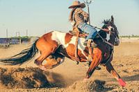 Cowgirl reitet ein westliches Pferd