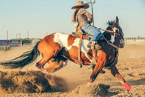 Cowgirl reitet ein westliches Pferd von Atelier Liesjes