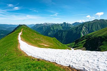 Allgäuer Alpen met uitzicht op de Höfats van Leo Schindzielorz