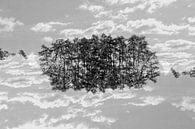 Gespiegelde bomen (3) van Mark Scheper thumbnail