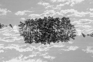 Mirror trees (3) von Mark Scheper