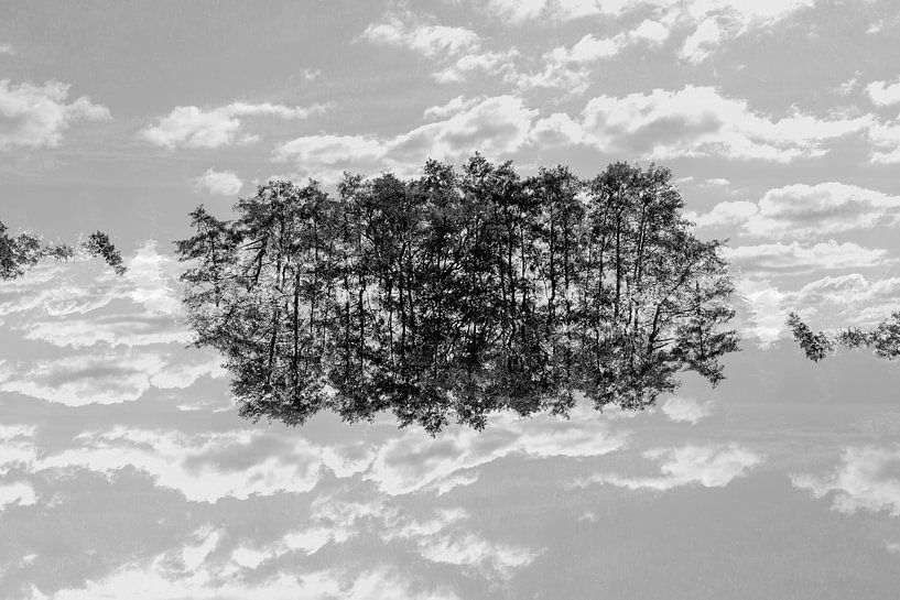 Gespiegelde bomen (3) van Mark Scheper