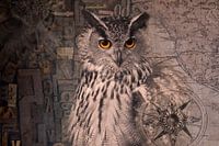 Dreamland Eagle Owl