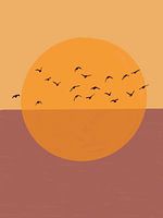 Africa series landscapes orange sun with sea and birds