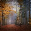 Mastbos . Mistige herfst foto . Autumn Forest van Saskia Dingemans