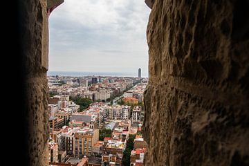 Uitzicht over Barcelona vanaf de Sagrada Famillia van Joyce Schouten
