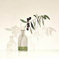 OLIVE OIL EXTRA VIRGIN OLIVE OIL
