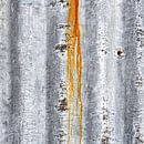 Primal soil - Traces of time by Hans Kwaspen thumbnail