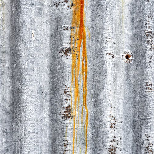 Primal soil - Traces of time