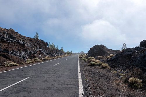 road on tenerife