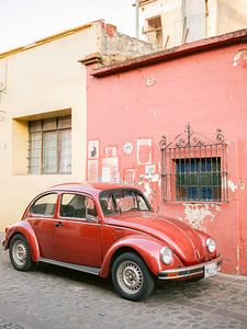 Rétro Coléoptère rouge à Oaxaca Mexique II