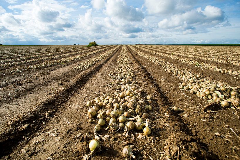 landschap, Limburg van Joep Deumes