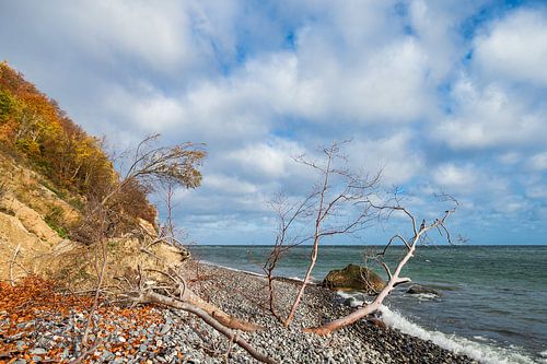 Ostseeküste auf der Insel Moen in Dänemark