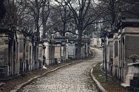 Slingerend weggetje op begraafplaats Père-Lachaise in Parijs