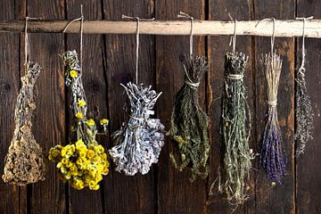 Bouquets d'herbes