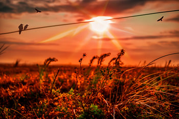 Sonnenuntergang auf Texel