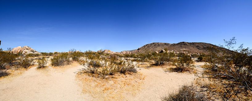 Joshua-Tree-National-Park von GH Foto & Artdesign