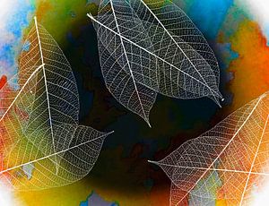 Abstrakte Kunst mit Skelett Blatt .