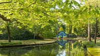 Spring in the Palace Park by Moetwil en van Dijk - Fotografie thumbnail