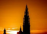Antwerpen Kathedraal zonsondergang von Serge Meeter Miniaturansicht
