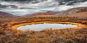 Tundra-Landschaft in Herbstfarben.
