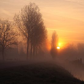 Ochtendgloren in de polder van LHJB Photography