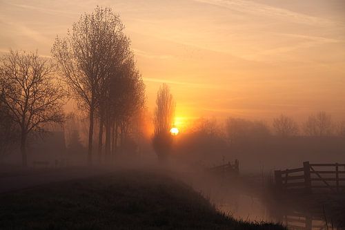 Ochtendgloren in de polder