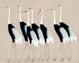 Japan cranes on beige