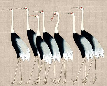 Japan cranes on beige by Mad Dog Art