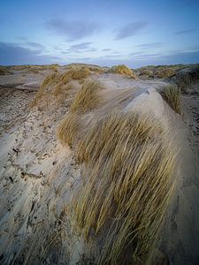 Hollands duin van Dirk van Egmond