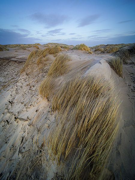 Dutch dunes by Dirk van Egmond