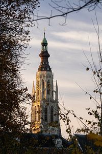 Sonnenaufgang in Grote Kerk Breda