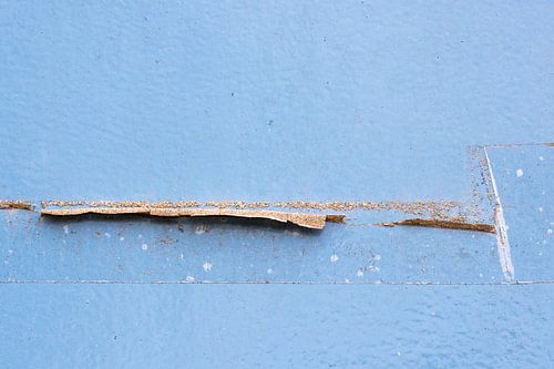 Blauw landschap van Cobi de Jong